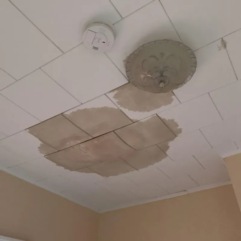Ceiling Water Damage Repair in Napanoch, NY